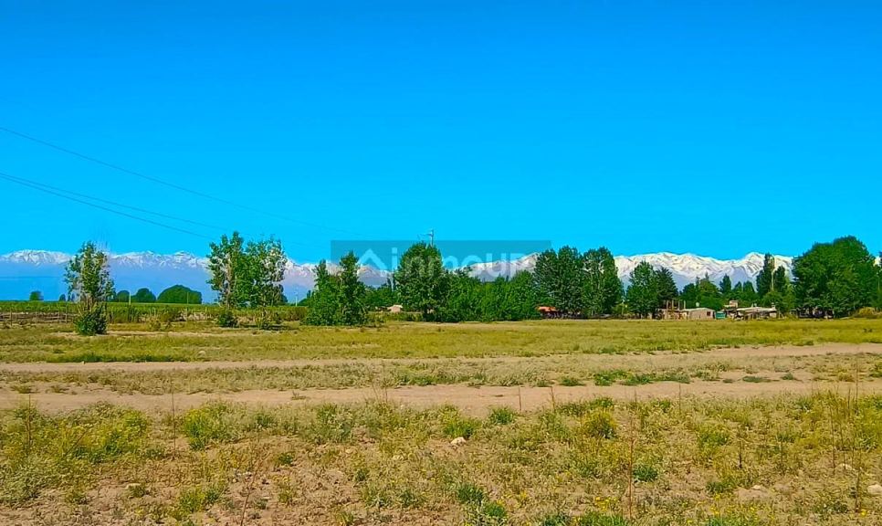Terreno en Venta en Tupungato, Mendoza