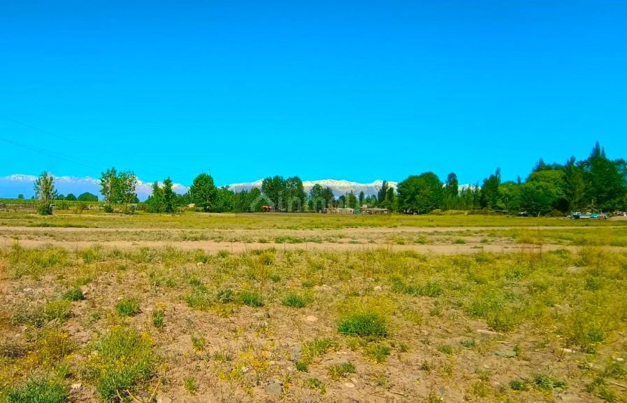 Terreno en Venta en Tupungato, Mendoza