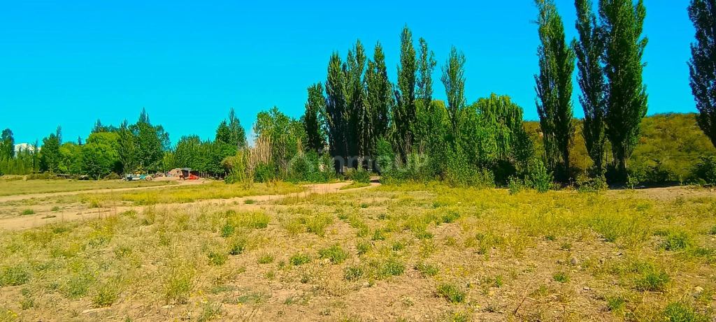 Terreno en Venta en Tupungato, Mendoza
