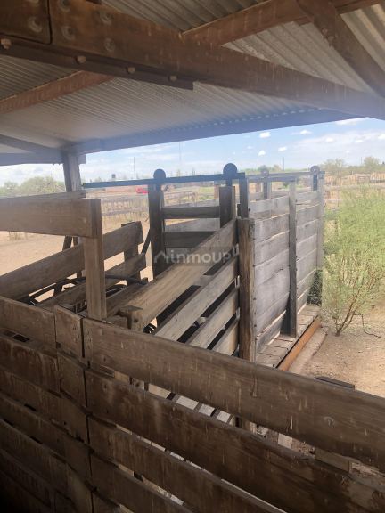 Campo en Venta en Lavalle, Mendoza