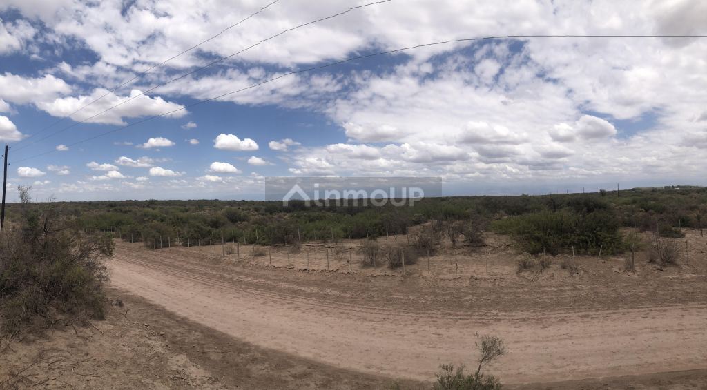 Campo en Venta en Lavalle, Mendoza