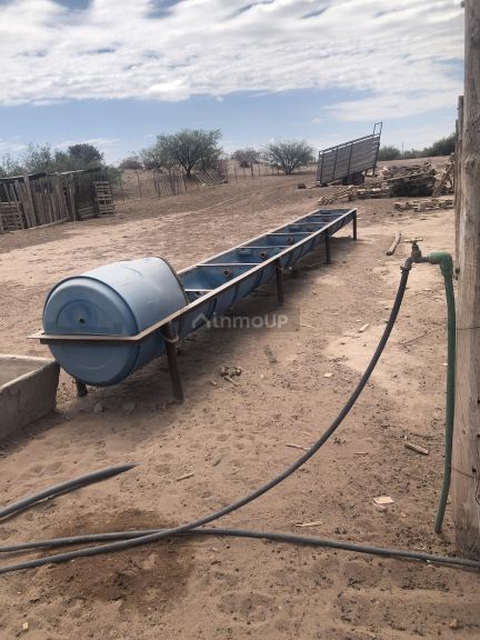 Campo en Venta en Lavalle, Mendoza