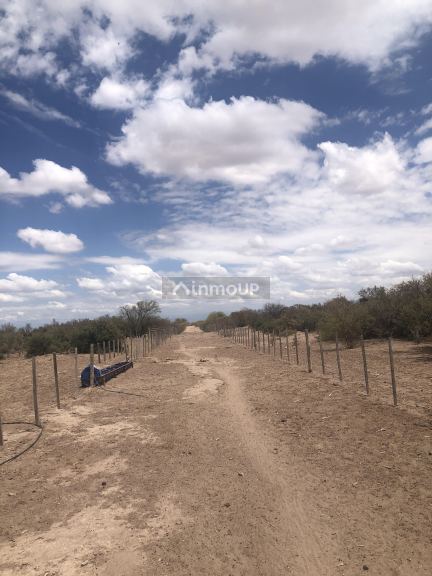 Campo en Venta en Lavalle, Mendoza