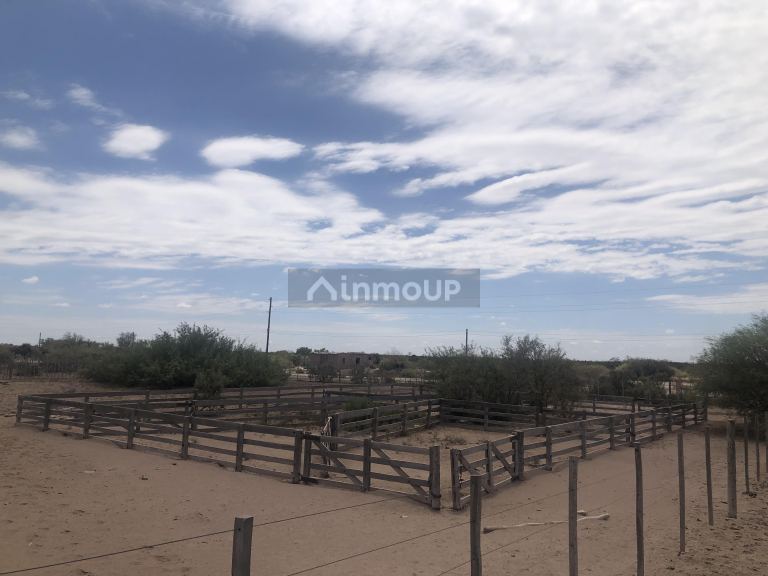 Campo en Venta en Lavalle, Mendoza
