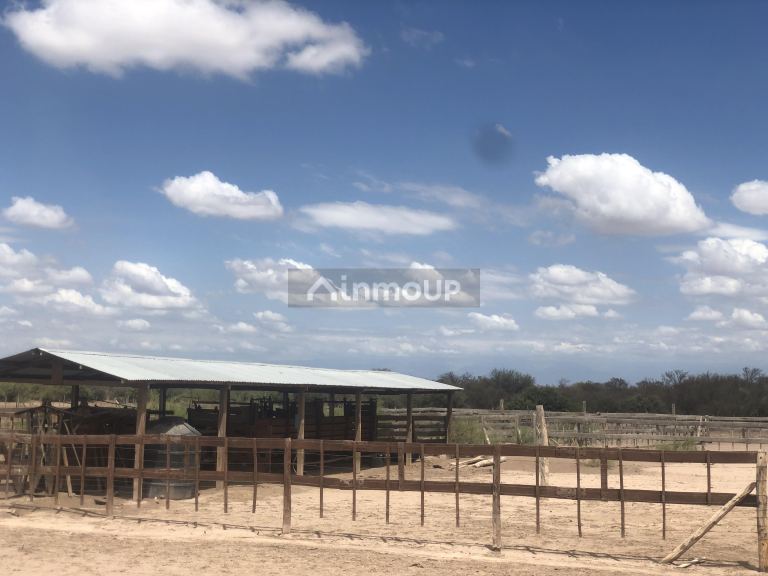 Campo en Venta en Lavalle, Mendoza