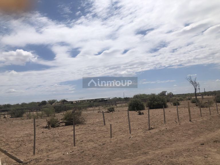 Campo en Venta en Lavalle, Mendoza
