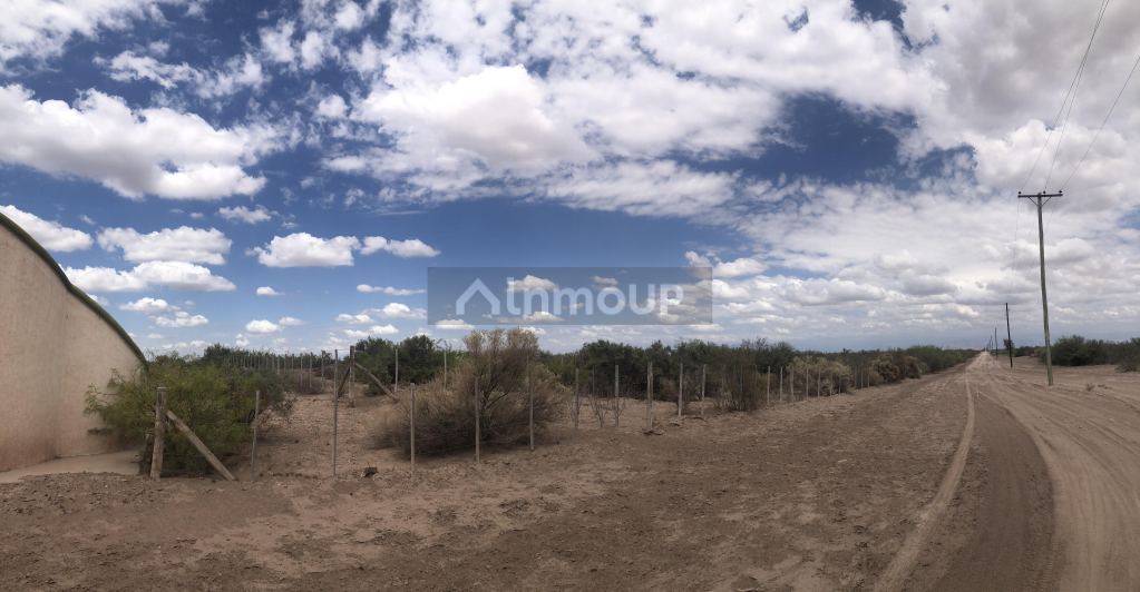 Campo en Venta en Lavalle, Mendoza