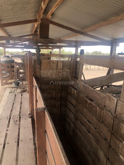 Campo en Venta en Lavalle, Mendoza