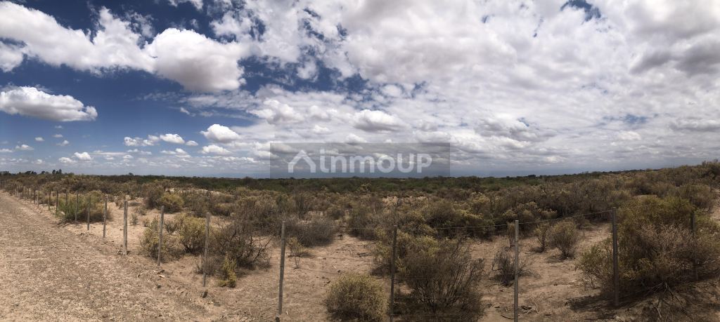 Campo en Venta en Lavalle, Mendoza