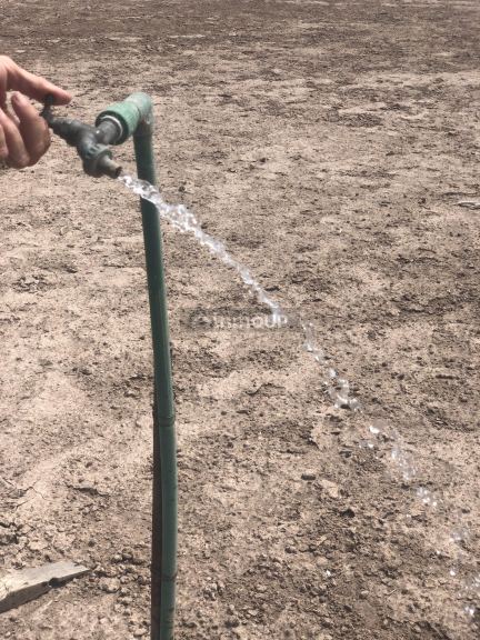 Campo en Venta en Lavalle, Mendoza