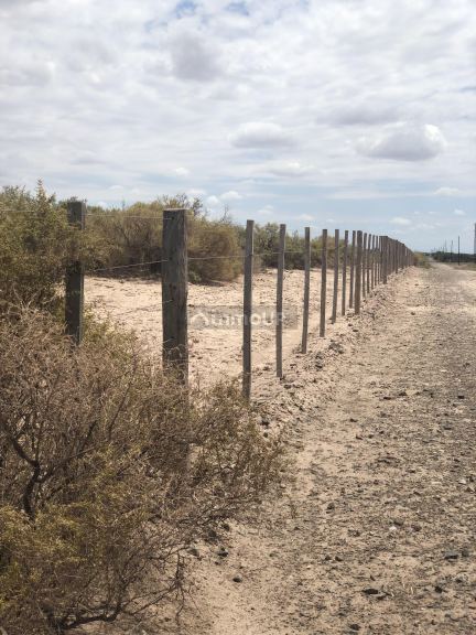 Campo en Venta en Lavalle, Mendoza