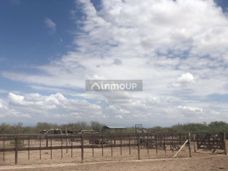 Campo en Venta en Lavalle, Mendoza