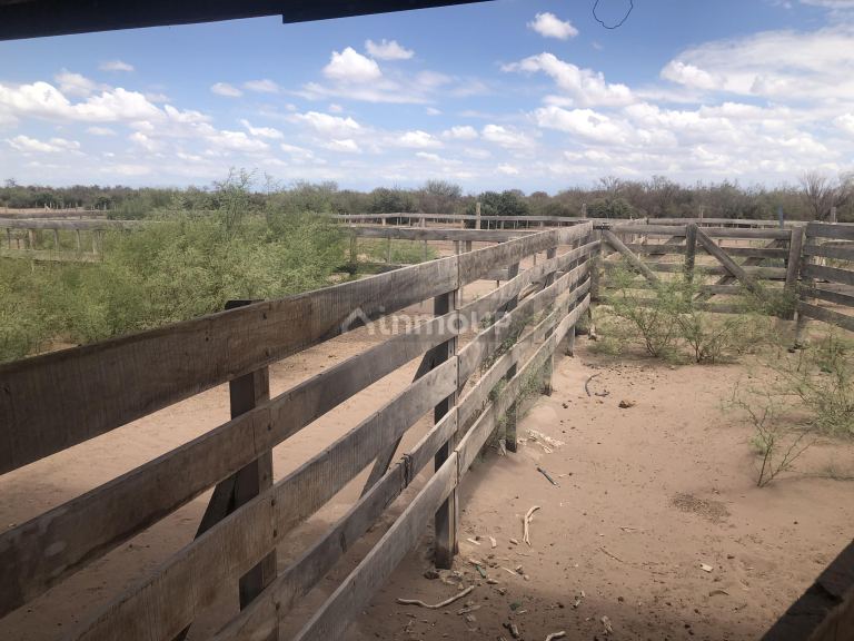 Campo en Venta en Lavalle, Mendoza