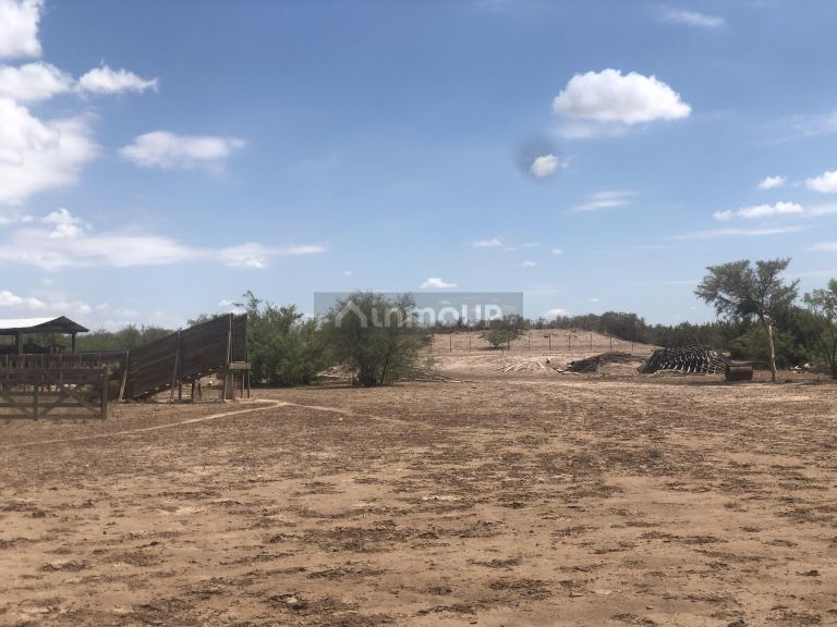 Campo en Venta en Lavalle, Mendoza