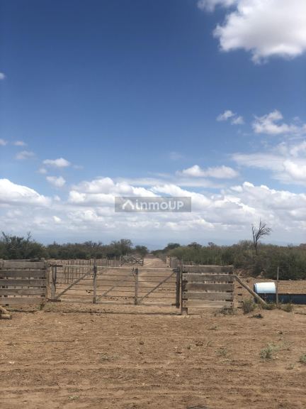 Campo en Venta en Lavalle, Mendoza