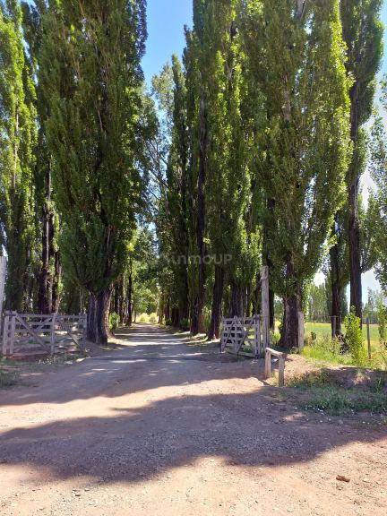 Finca en Venta en Malargue, Mendoza