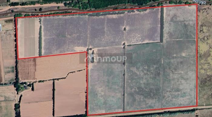 Finca en Venta en Malargue, Mendoza