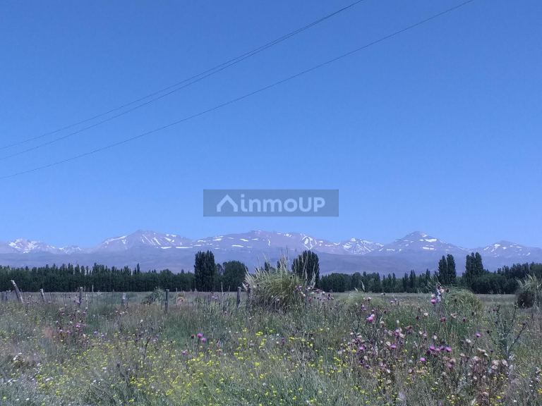 Lote en Venta en Malargue, Mendoza