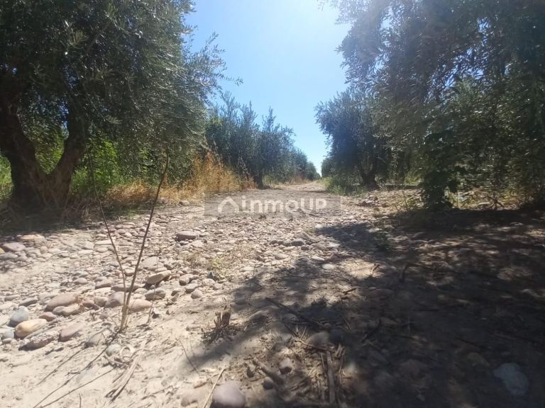 Lote en Venta en Maipu, Mendoza