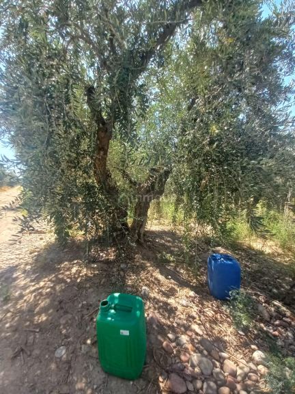 Lote en Venta en Maipu, Mendoza