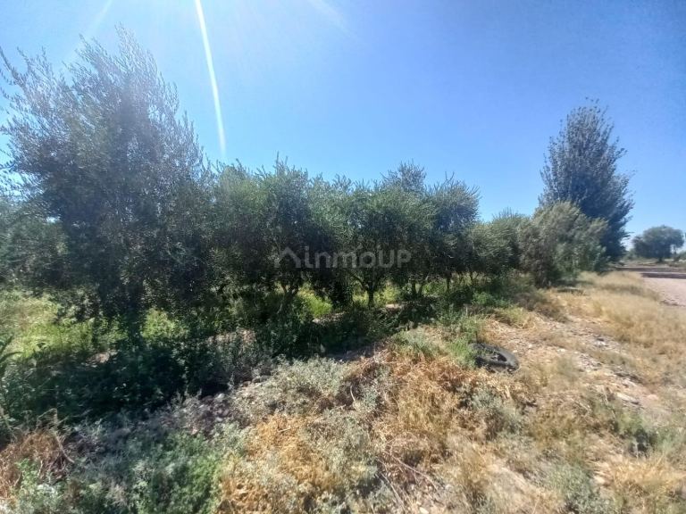 Lote en Venta en Maipu, Mendoza