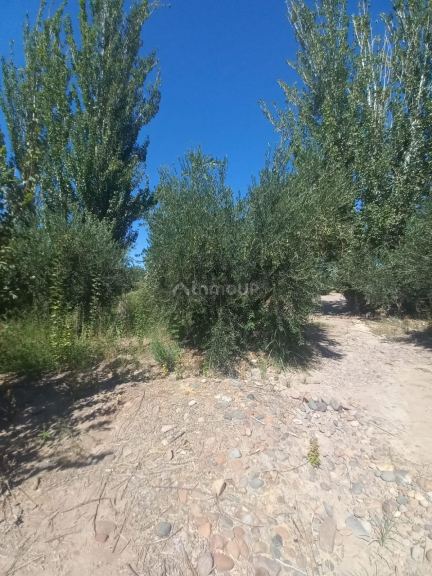 Lote en Venta en Maipu, Mendoza