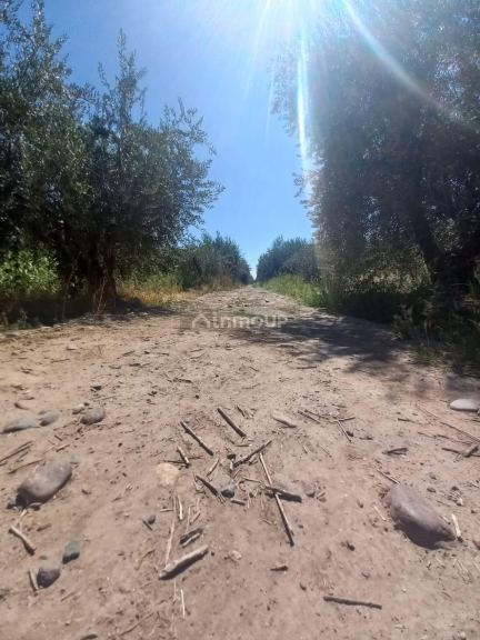 Lote en Venta en Maipu, Mendoza