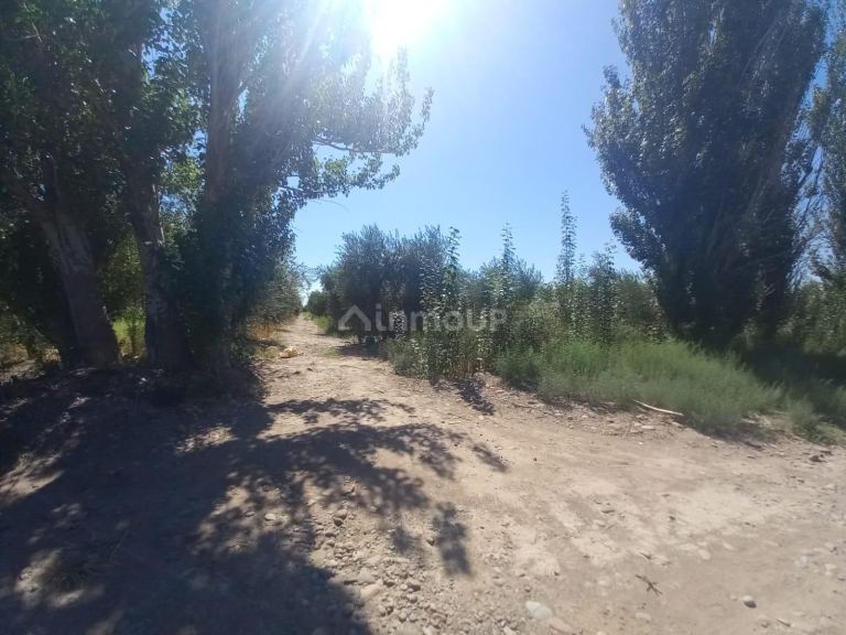 Lote en Venta en Maipu, Mendoza