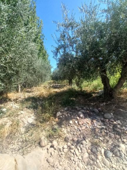 Lote en Venta en Maipu, Mendoza