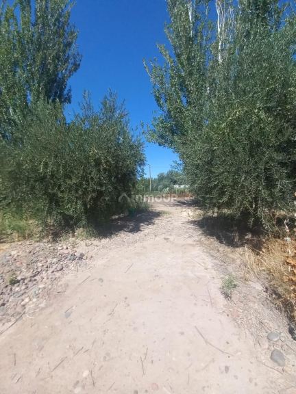 Lote en Venta en Maipu, Mendoza