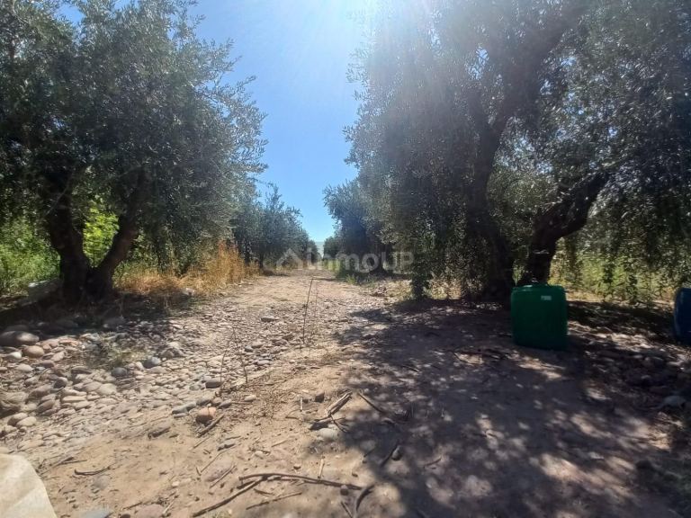 Lote en Venta en Maipu, Mendoza