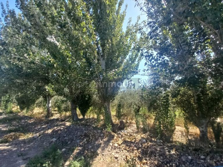 Lote en Venta en Maipu, Mendoza