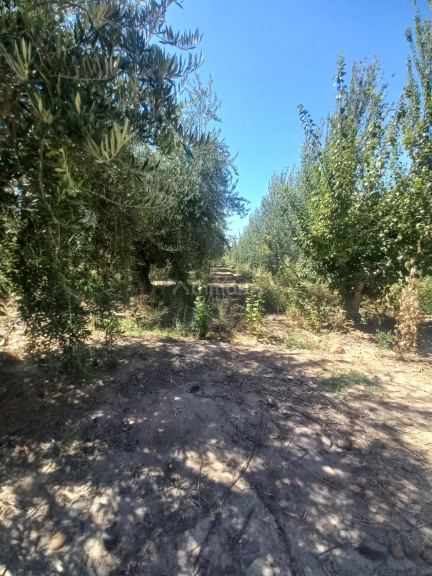 Lote en Venta en Maipu, Mendoza
