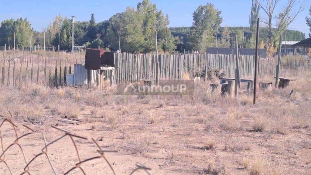 Lote en Venta en Lujan de Cuyo, Mendoza