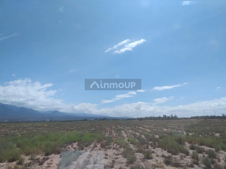 Lote en Venta en Lujan de Cuyo, Mendoza