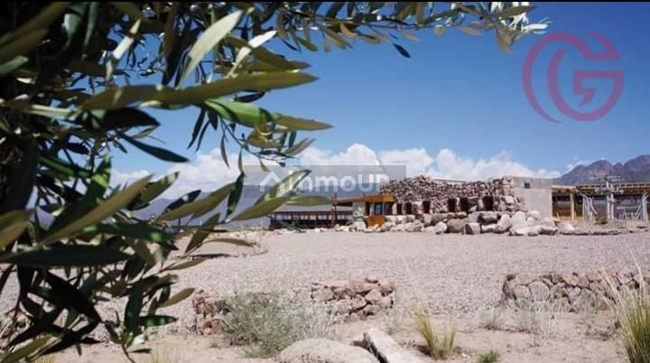 Lote en Venta en Lujan de Cuyo, Mendoza