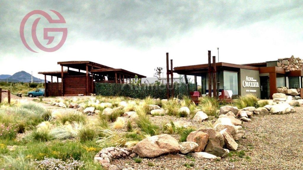 Lote en Venta en Lujan de Cuyo, Mendoza
