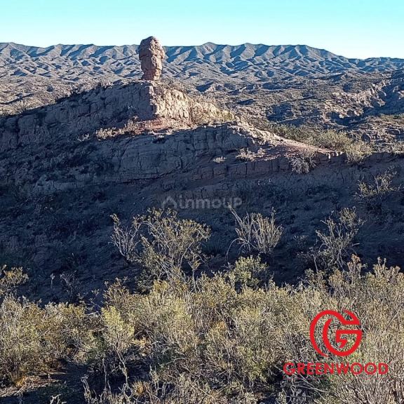 Campo en Venta en Lujan de Cuyo, Mendoza