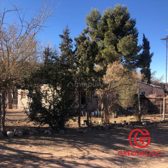 Campo en Venta en Lujan de Cuyo, Mendoza