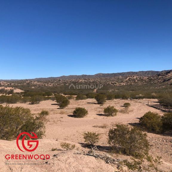 Campo en Venta en Lujan de Cuyo, Mendoza