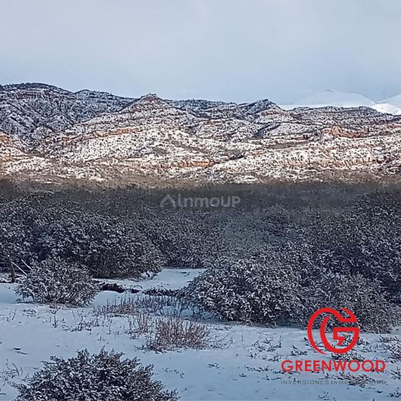 Campo en Venta en Lujan de Cuyo, Mendoza