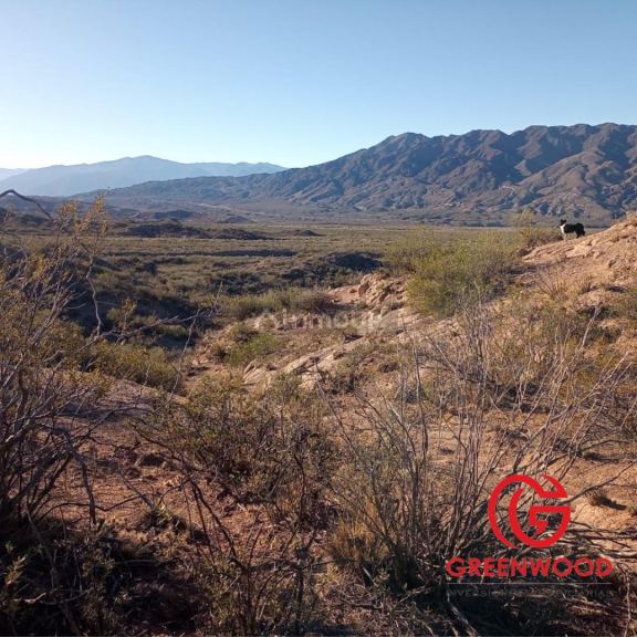 Campo en Venta en Lujan de Cuyo, Mendoza