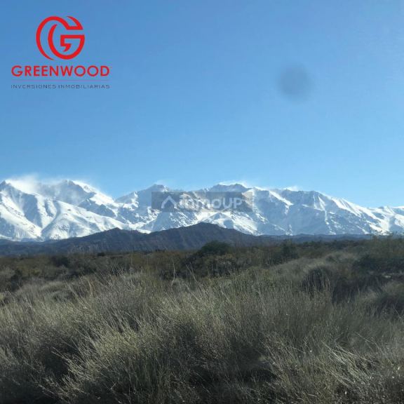 Campo en Venta en Lujan de Cuyo, Mendoza