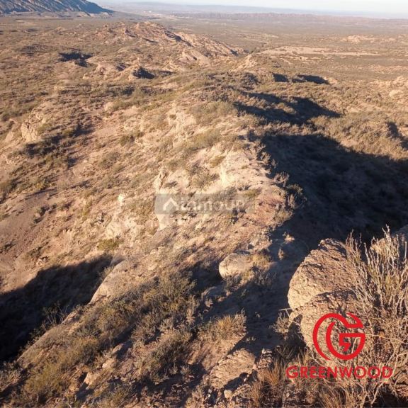 Campo en Venta en Lujan de Cuyo, Mendoza