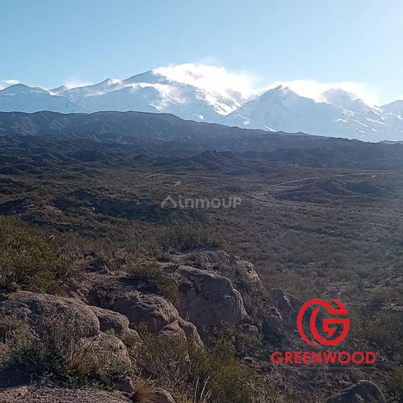 Campo en Venta en Lujan de Cuyo, Mendoza
