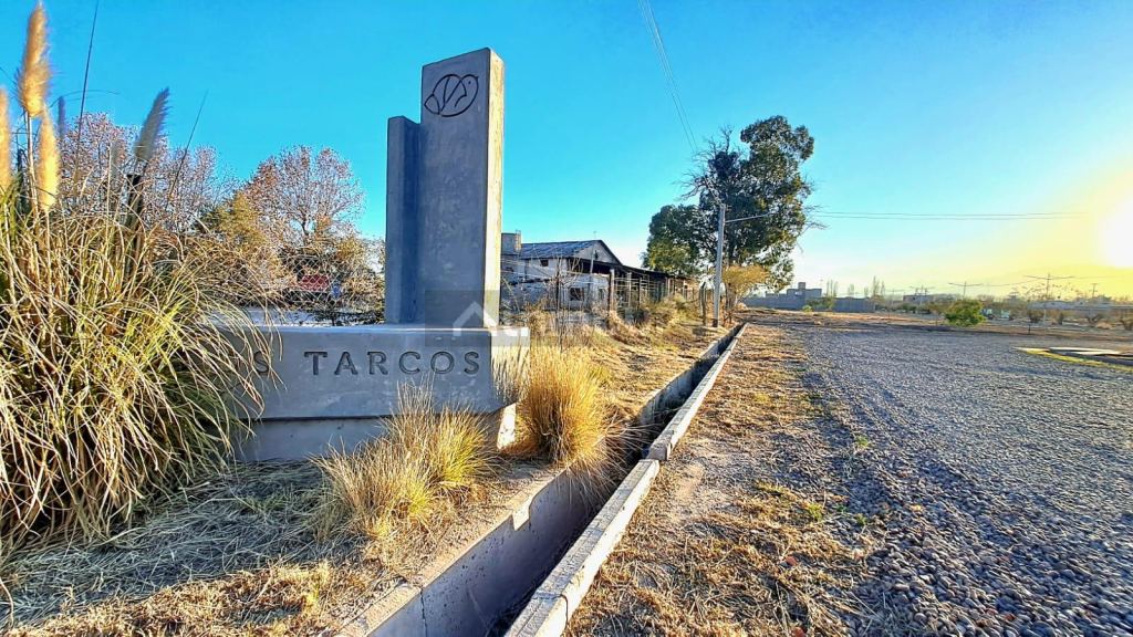 Lote en Venta en Lujan de Cuyo, Mendoza
