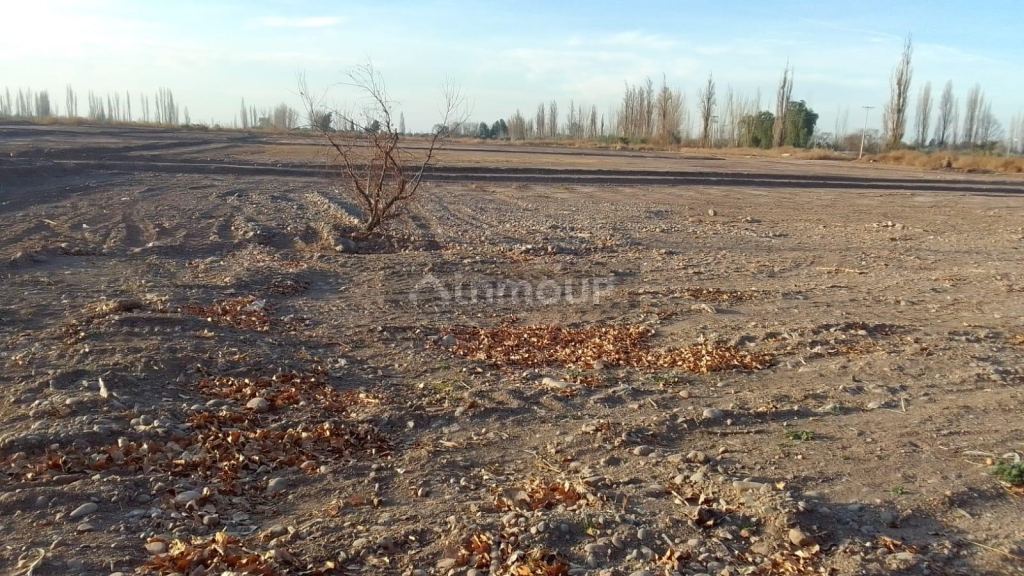 Lote en Venta en Maipu, Mendoza