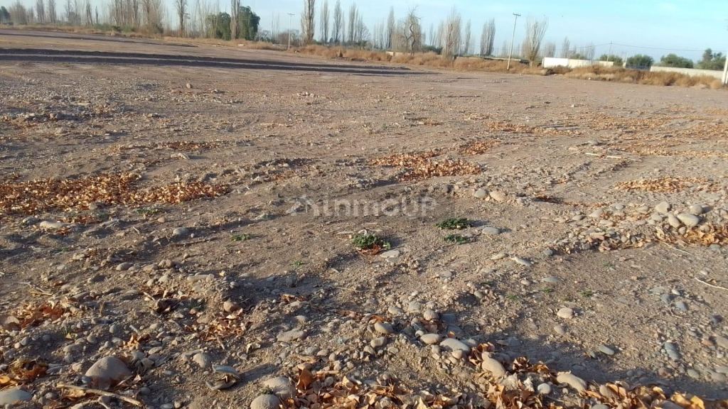 Lote en Venta en Maipu, Mendoza
