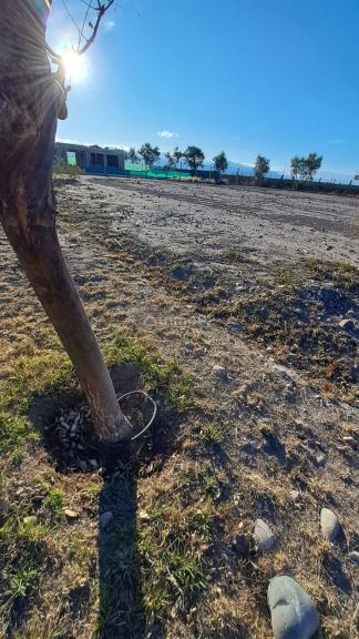 Lote en Venta en Lujan de Cuyo, Mendoza