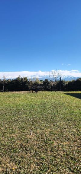Lote en Venta en Lujan de Cuyo, Mendoza